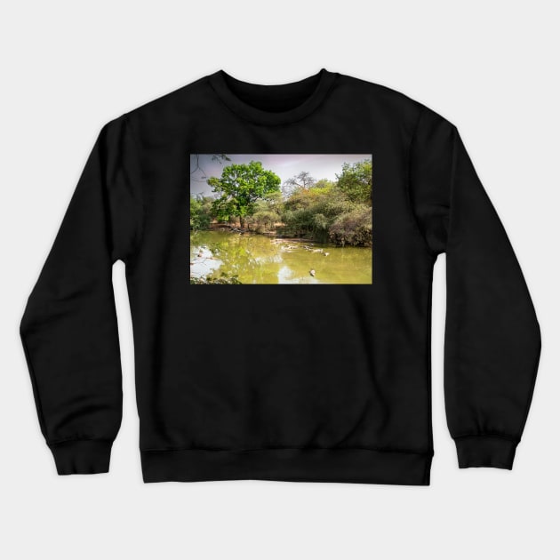 Africa Watering Hole Crewneck Sweatshirt by Graz-Photos